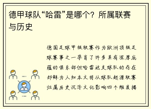 德甲球队“哈雷”是哪个？所属联赛与历史